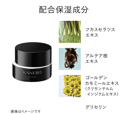 カネボウのクリームインデイの成分